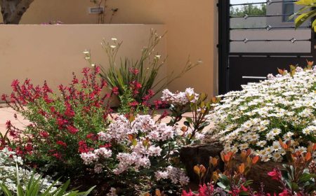 גינה בכפר מנחם 2