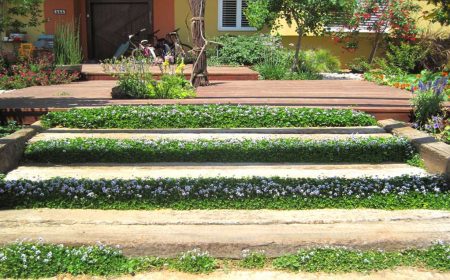 גינה בניר בנים