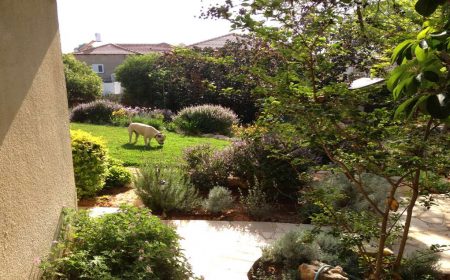 בית וסטודיו למחול בגדרה